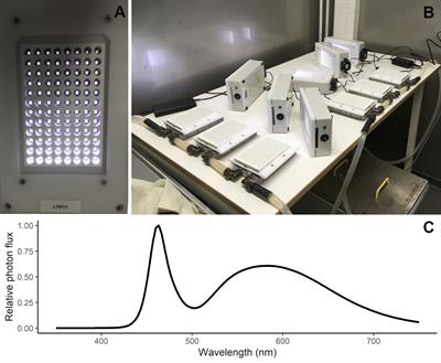 Trait response of three Baltic Sea spring dinoflagellates to temperature, salinity, and light gradients